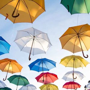 Umbrella Bundle